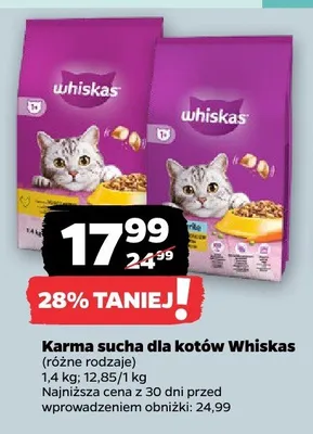 Karma sucha dla kotów Whiskas promocja w Netto