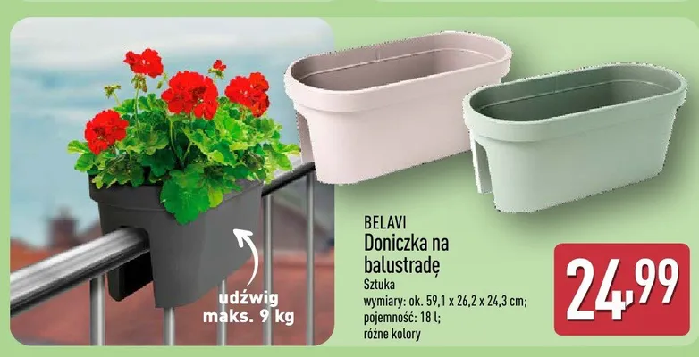 Doniczka na balustradę promocja w Aldi