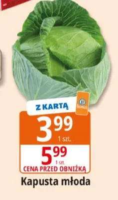 Kapusta młoda promocja w Leclerc