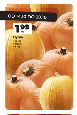 Dynia promocja w Odido