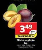 Śliwki węgierki promocja w Delfin