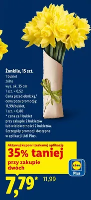 Żonkile 15szt. promocja w Lidl