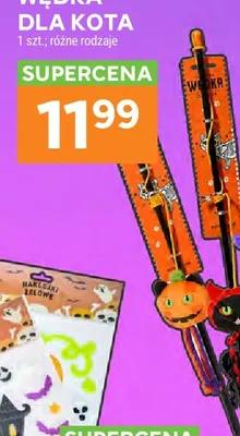Wędka dla kota promocja w Stokrotka
