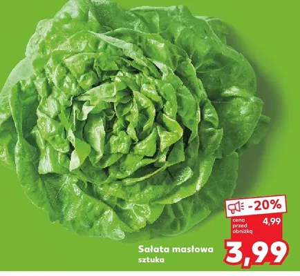 Sałata masłowa promocja w Kaufland