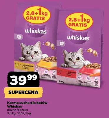 Karma sucha dla kotów (różne rodzaje) promocja w Netto