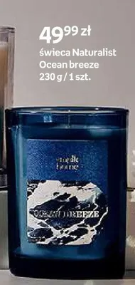 Świeca Naturalist Ocean breeze promocja w Empik