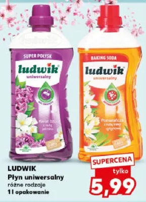 Płyn uniwersalny różne rodzaje 1l promocja w Kaufland