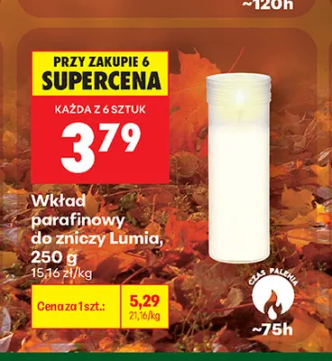 Wkład parafinowy do zniczy Lumía promocja w Biedronka