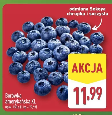 Borówka amerykańska XL promocja w Aldi