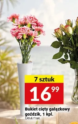Bukiet cięty gałązkowy goździk promocja w Twój Market