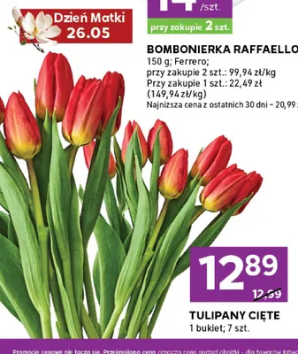 Tulipany cięte promocja w Stokrotka