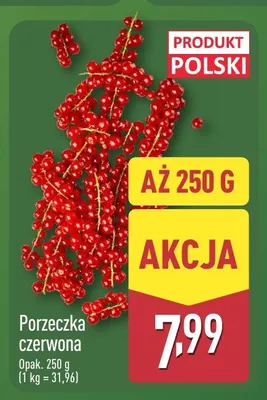 Porzeczka czerwona promocja w Aldi