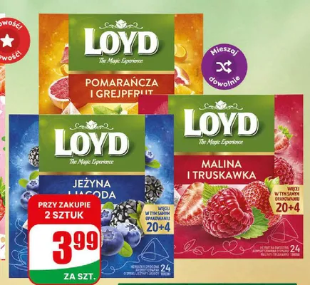 Herbatka owocowa Loyd pomarańcza i grejpfrut promocja w Dino