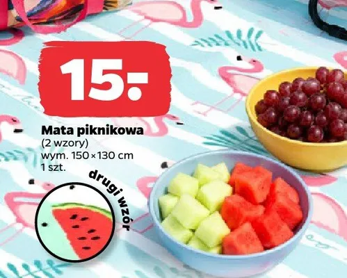 Mata piknikowa 150x130 cm Netto promocja w Netto
