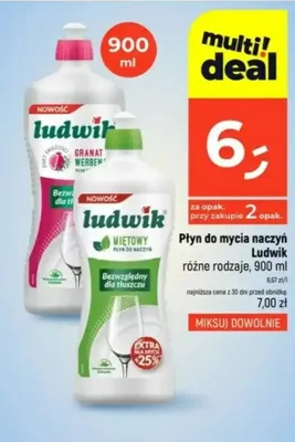 Płyn do mycia naczyń Ludwik miętowy promocja w Dealz