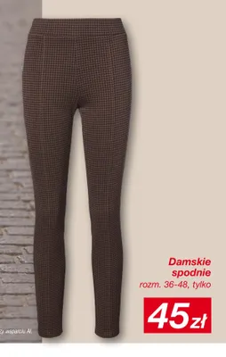 Damskie spodnie Janina promocja w KiK