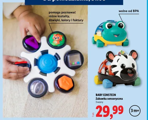 Zabawka sensoryczna Baby Einstein żaba promocja w Lidl
