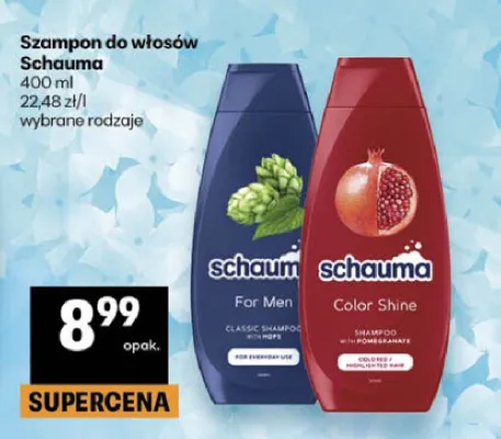 Szampon do włosów Schauma For Men promocja w Delikatesy Centrum