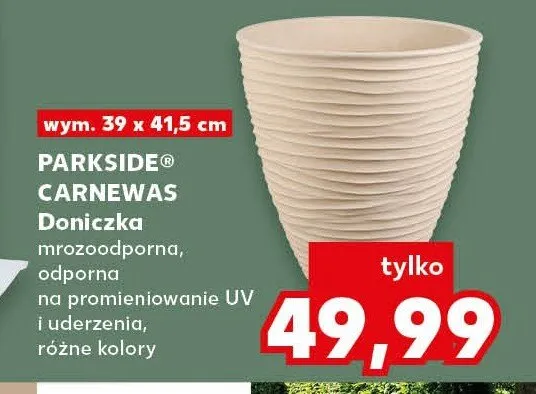 Doniczka Carnewas promocja w Kaufland