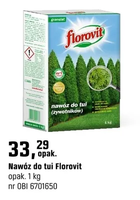 Nawóz do tui promocja w OBI