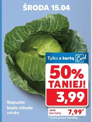 Kapusta biała młoda sztuka promocja w Kaufland