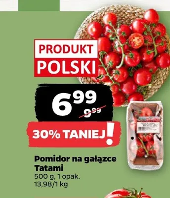 Pomidor na gałązce Tatami promocja w Netto
