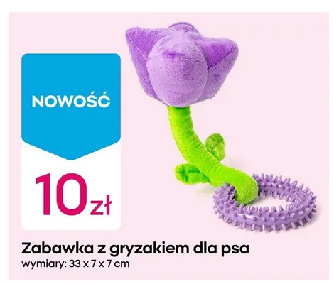 Zabawka z gryzakiem dla psa promocja w Pepco