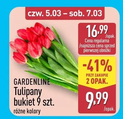 Tulipany bukiet 9 szt. różne kolory promocja w Aldi