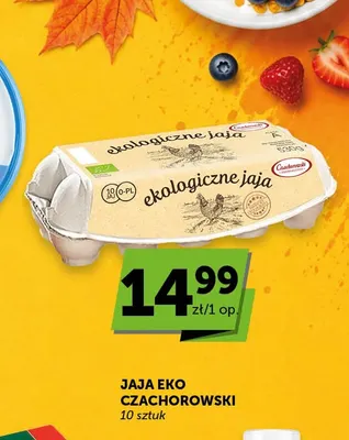 Jajka kurze Eko Czachorowski promocja w Euro Sklep