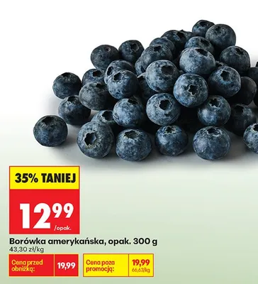 Borówka amerykańska promocja w Biedronka