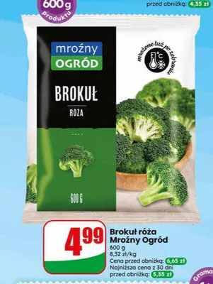 Brokuł róża Mroźny Ogród promocja w Dino