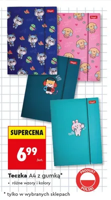Teczka A4 z gumką Kayet promocja w Biedronka