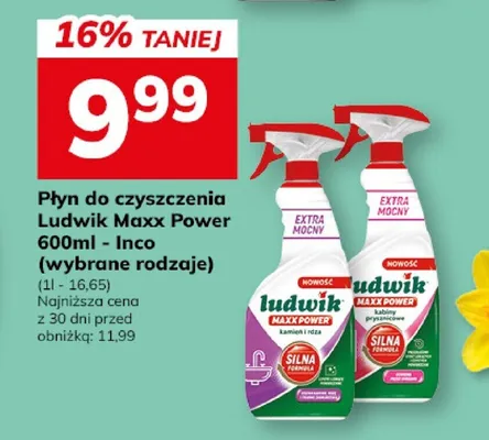 Płyn do czyszczenia Ludwik Maxx Power - Inco (wybrane rodzaje) promocja w Hitpol