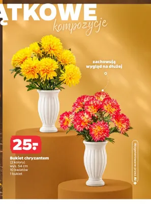Bukiet chryzantem promocja w Netto