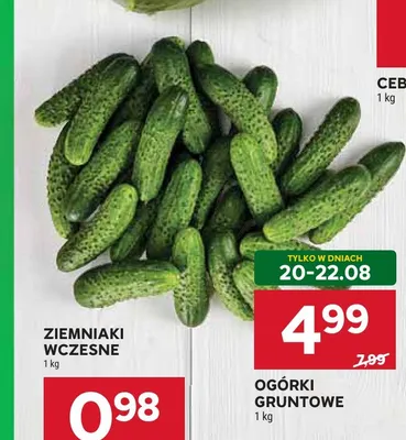 Ogórki gruntowe promocja w Stokrotka