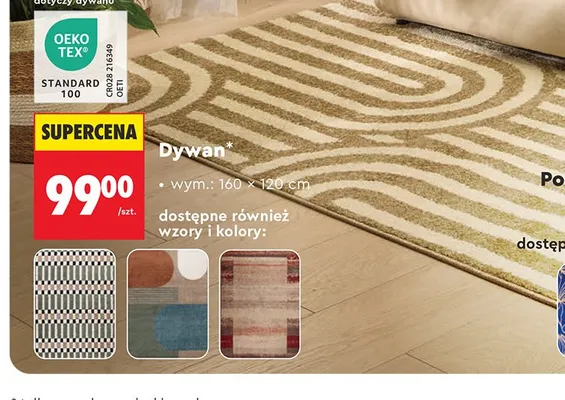Dywan SMUKEE wym. 160x120cm promocja w Biedronka