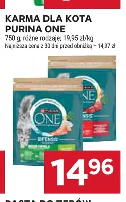 Karma dla kota Purina One promocja w Stokrotka