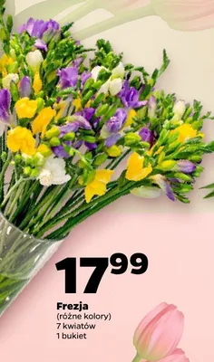 Frezja promocja w Netto