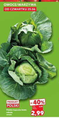 Polska kapusta biała młoda promocja w Kaufland