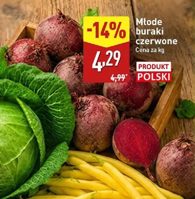 Buraki czerwone młode polskie promocja w Aldi