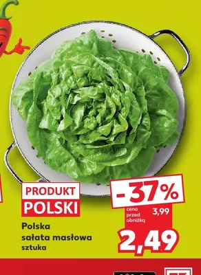 Sałata masłowa polska Kaufland promocja w Kaufland