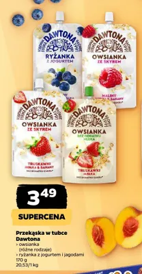 Ryżanka z jogurtem i jagodami Dawtona promocja w Netto