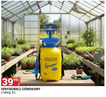 Opryskiwacz ciśnieniowy Sprayer z lancą promocja w Merkury Market