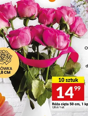 Róża cięta 10 sztuk promocja w Twój Market
