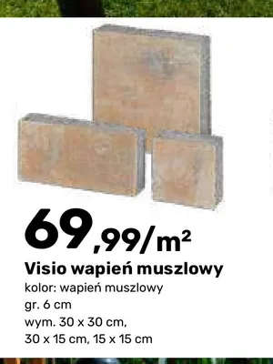 Płyta dekoracyjna Visio wapień muszlowy promocja w Bricomarche