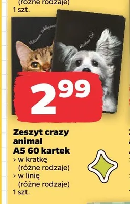 Zeszyt crazy animal A5 60 kartek w linię Herlitz promocja w Netto