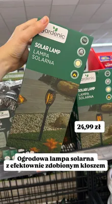 Lampa solarna ogrodowa Gardenic z efektownie zdobionym kloszem promocja w Biedronka