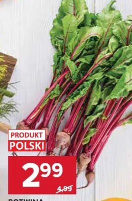 Botwina promocja w Stokrotka