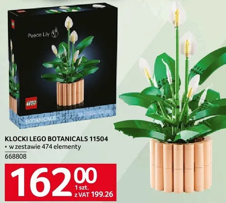 Klocki LEGO Botanicals 11504 promocja w Selgros