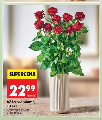 Róża premium 10 szt. promocja w Biedronka